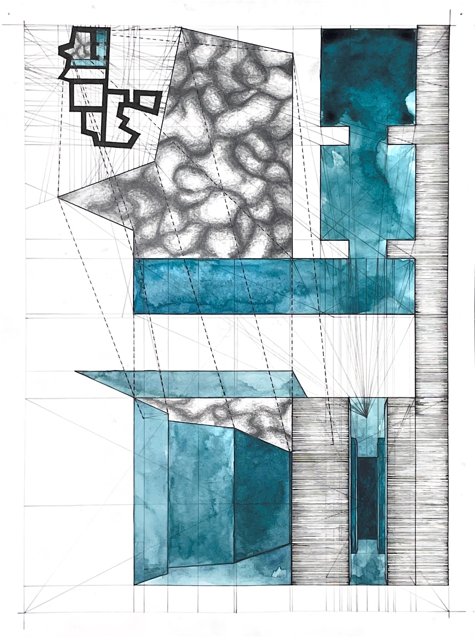 cell 5